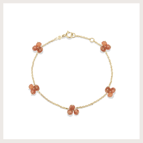 Pulseira Seeds com cornalina